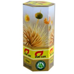 Palito de Madeira Fiat Lux 100un